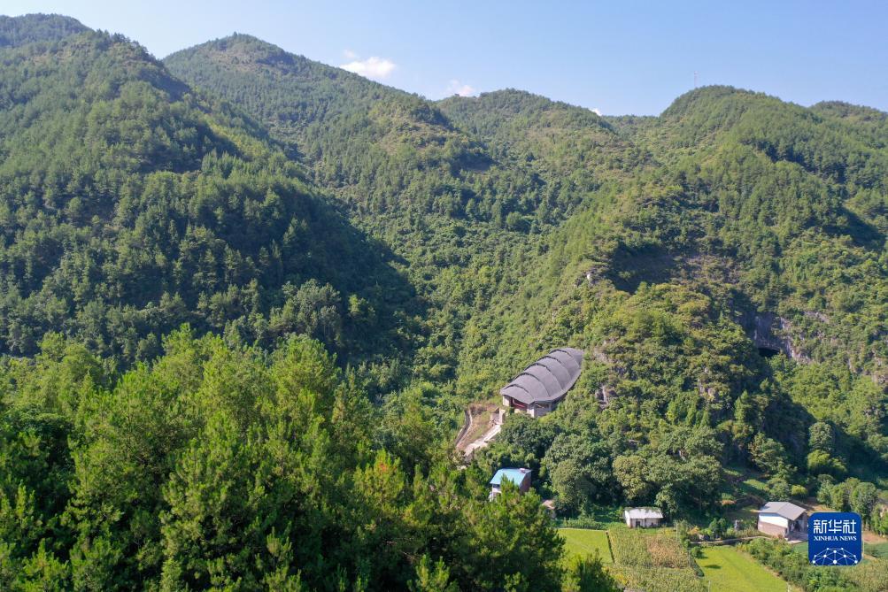 大赢家官网登录网址